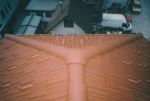 Untitled-111.jpg